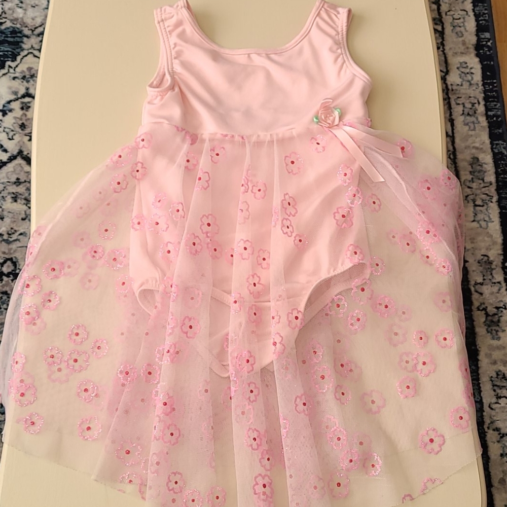 Light Pink Princesses 💗 Aurora Dance Dress
